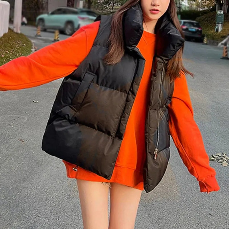 Fashioinista
