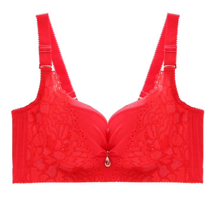 Sexy Women Plus Size Push Up Bra - Fashioinista