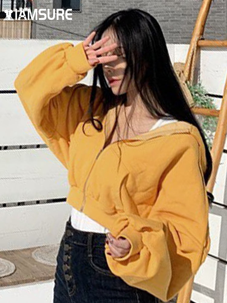 Stylish Long Sleeve Crop Top Sweatshirt - Fashioinista