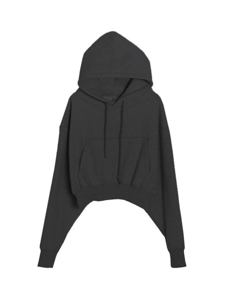 Casual Fleece Hoodies Suit - Fashioinista